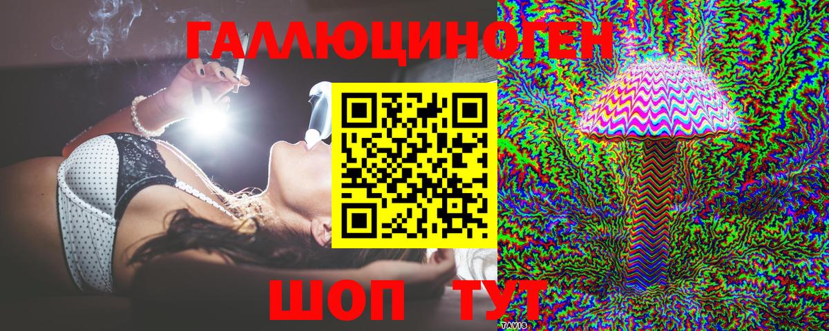 Псилоцибиновые грибы Psilocybe  Вход с VPN  Галлюциногенные грибы прущие грибы  Новоалександровск 